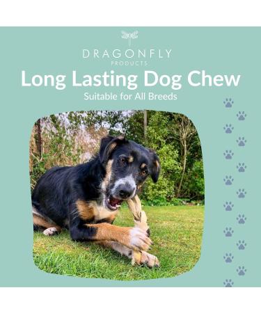 Dragonfly Beef Scalp Dog Chews 250g | Grain-Free & Long Lasting | Non-Rawhide Alternative | Natural Raw Treat Stick for Medium to Large Breeds - Buy Online on GoSupps.com