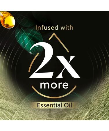 Airwick SCENTED OIL - Refill 0+2 Vibrant White Sage & Mahogany Infused with 2x More Essential Oil Clear 20.00 ml (Pack of 2) - Buy Online on GoSupps.com