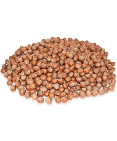 Anna and Sarah Large Oregon Hazelnuts in Shell, 5 Lbs 5 Pound (Pack of 1) - Buy Online on GoSupps.com