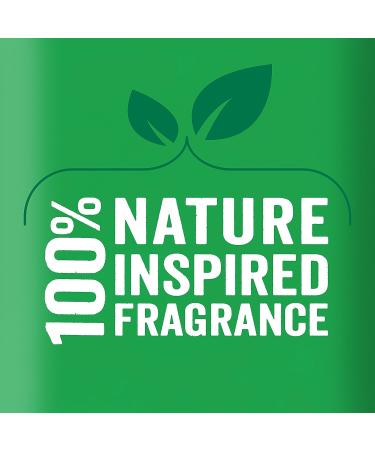 Radox Feel Refreshed Shower Gel 250ml | Eucalyptus & Citrus Oil - Buy Online - Buy Online on GoSupps.com