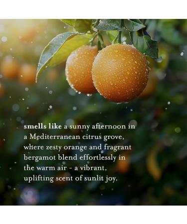 A LA MAISON Orange Bergamot Body Wash 25.36 Fl Oz 3 Pack - Buy Online on GoSupps.com