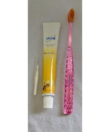 Atomy Oral Care Set - Toothbrush & Travel Size Toothpaste Case | International Shipping - Buy Online on GoSupps.com