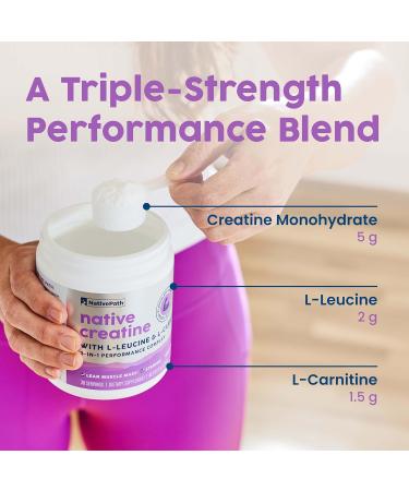 NativePath Creatine Monohydrate Powder with L-Leucine & L-Carnitine - Supports Muscle Health for Men & Women - 30 Servings 9 Ounce (Pack of 1) - Buy Online on GoSupps.com