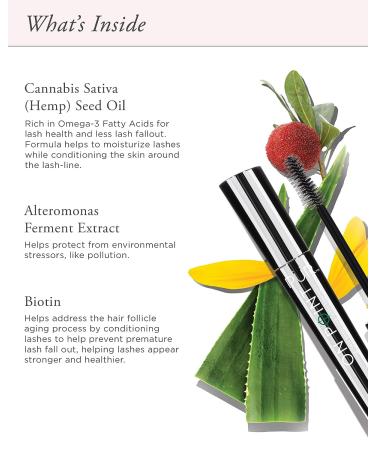 R MINERALS On Point Mascara with Hemp - 1 ct. | Vegan-Friendly Formula - Buy Online on GoSupps.com
