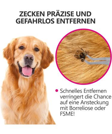 Helperfect Premium 2-in-1 Stainless Steel Tick Pliers for Dogs & Cats | Gentle & Effective Tick Remover | Tick Tweezers & Hooks | Ideal for Pet Owners - Buy Online on GoSupps.com