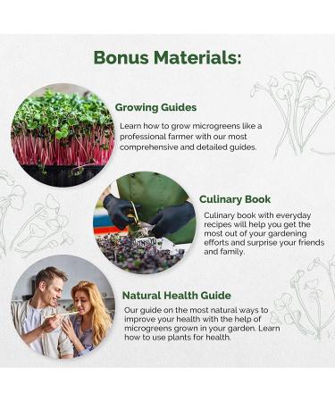 Radish Sprouting & Microgreens Seeds - Non-GMO Heirloom Sprout Seeds Kit | 1lb Bulk Resealable Bag for Planting Microgreens in Soil or Hydroponic Systems - Buy Online on GoSupps.com