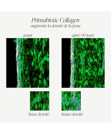  PRIMABIOTIC Primabiotic Collagen (10 000mg) - Hydrolyzed Bovine Collagen (2000Da) - Pack of 30 Bottles of 30 ml (1 Month) (60 60) - Buy Online on GoSupps.com