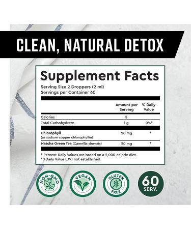 360 Nutrition Matcha Chlorophyll Drops with L-Theanine - Gut Health Support & Energy Boost - Vegan, Gluten-Free - 60 Servings - Buy Online on GoSupps.com