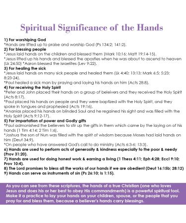 Cleanse Me Natural Foaming Hand Wash - Eco-Friendly Vegan Soap with Lavender & Jasmine | Gentle Hand Cleanser for All Skin Types - Buy Online on GoSupps.com