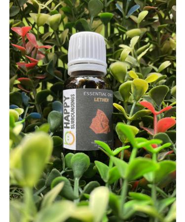 Leather Essential Oil -100% Pure and Natural Oil for Natural for Aromatherapy Massage & Skin Care Oil (10 ml)