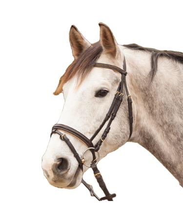 Star WALDHAUSEN Bridle Diamond Brown Warmblood