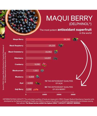 Daily Circulation | Super Antioxidants Supplement & Daily Circulatory Support | Maqui Berry (Delphinol), French Maritime Pine Bark (Pycnogenol), Ginger Root Extracts | 30 Servings 30 Count (Pack of 1) - Buy Online on GoSupps.com
