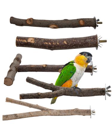 EBaokuup 5PCS Natural Wood Bird Perches for Parrot - Wooden Bird Parrot Stand Branches Parakeet Cage Perch Accessories for Small Birds Budgies Cockatiels Conure Lovebirds