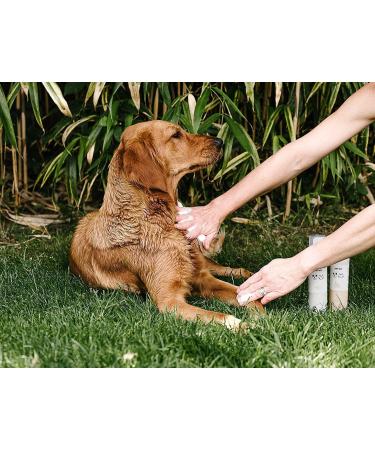 Vet Approved Natural Dry Shampoo for Pets | Deodorizing & Revitalizing | No Rinse | Coconut & Oat - Buy Online on GoSupps.com