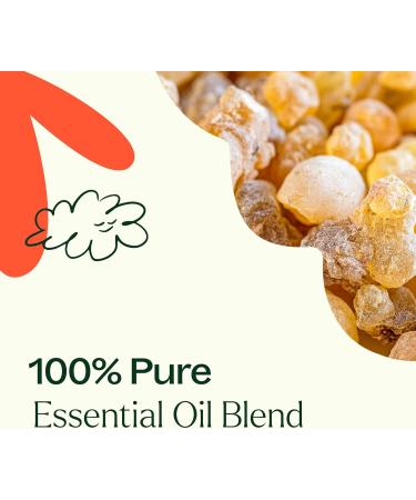 Plant Therapy Fantastic Franks Essential Oil Blend 10 mL (1/3 oz) 100% Pure Undiluted Therapeutic Grade Fantastic Franks 0.34 Fl Oz (Pack of 1) - Buy Online on GoSupps.com