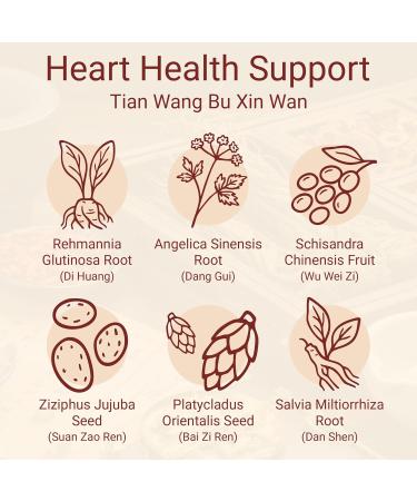 FAR LONG Foci Herbal Tian Wang Bu Xin Wan Heart Health Support Herbal Supplement 200 Pills Per Bottle - Buy Online on GoSupps.com
