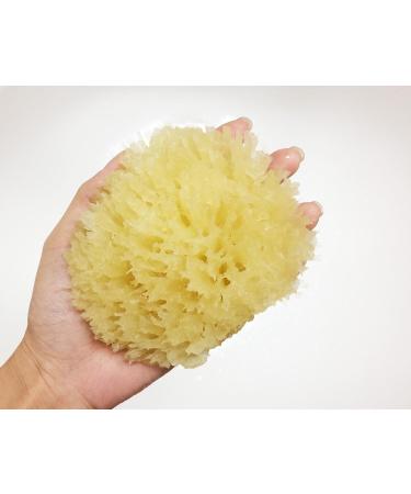 Natural Sea Sponge for Gentle Baby Bath | Hypoallergenic & Eco-Friendly - Buy Online on GoSupps.com