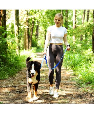 Vivaglory Traffic Handle Dog Leash - 1.2m Reflective & Padded for Training - Strong Metal Hook - Blue - Buy Online on GoSupps.com