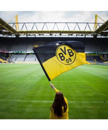 Buy BVB Flagpole (90x60 cm) - Multicoloured | International Shipping Available - Buy Online on GoSupps.com