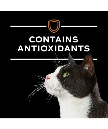 Purina Pro Plan Veterinary Diets NF Kidney Function Early Care Feline Formula Adult Dry Cat Food - 8 lb Bag - Buy Online on GoSupps.com