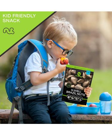 Raw Brazil Nuts In Shell - Whole Superior Quality (32oz - 2 LB) | Fresh Resealable Bag | Healthy Protein Snack | Natural, Keto-Friendly, Vegan, Kosher - Buy Online on GoSupps.com