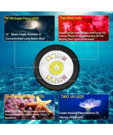 Wurkkos DL08 Dive Light 3600 Lumens Rechargeable Scuba Underwater Lights with Red and UV Light - IP68 Underwater Video with Infinite Brightness Adjustment and 5000mAh Battery for Night Diving - Buy Online on GoSupps.com