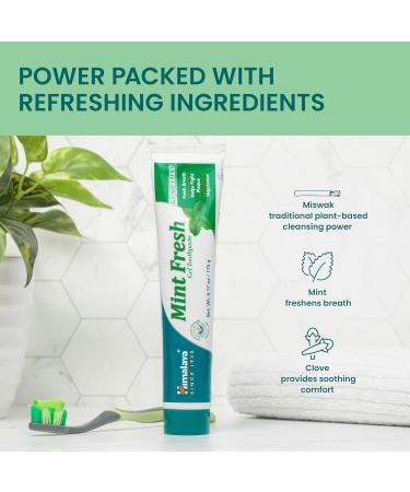 Himalaya Mint Fresh Gel Toothpaste Fluoride Free to Reduce Plaque & Brighten Teeth 6.17 oz 2 Pack 6.17 Ounce (Pack of 2) - Buy Online on GoSupps.com