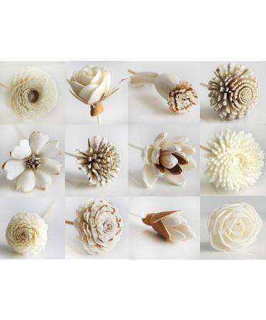 Exotic Plawanature Set of 12 Mixed Wood Flower & Rattan Sticks - Fragrance Diffuser for Aroma Oils | International Shipping - Buy Online on GoSupps.com