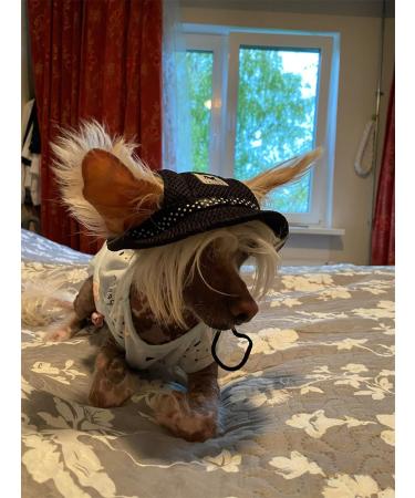 Adjustable Dog Sonnen Hat - Baseball Cap with Ear Holes for Sun Protection | Summer & Outdoor Sports | Black for Small Dogs & Cats - Buy Online on GoSupps.com