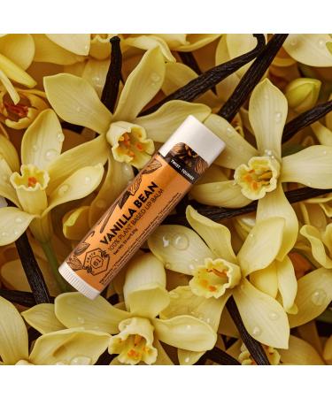 Crate 61 Lip Balm - Vanilla Bean Plastic-Free Plant Pod Tube Made with USDA Organic Ingredients & Fair Trade Vanilla Natural Moisturizing Lip Care for Dry Lips Safe for Men Women & Kids Vanilla Bean 1 Count (Pack  - Buy Online on GoSupps.com