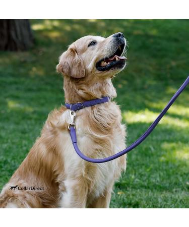 Collardirect Handmade Round Leather Dog Collar - Soft Padded Real Leather for Dogs & Cats | Adjustable 35-40 cm in Black Pink Red Purple Blue - Buy Online on GoSupps.com