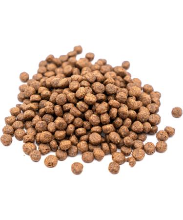 BREEDNA - Puppy Mini Chicken+ 1.25kg | Small Breed Puppy Food with Chicken | with Fruits and Vegetables | Ideal for Puppies from 1 Month Old and Nursing Mothers - Buy Online on GoSupps.com