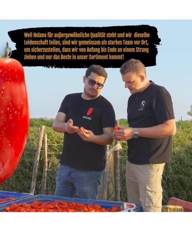 Delicret - 12 x 400g NOLANO San Marzano DOP tomatoes | whole and peeled | Pizza & Neapolitan pizza recipes - Buy Online on GoSupps.com