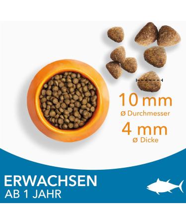 IAMS Dry Cat Food with Tuna - Nutrient-Rich Formula for Cats Aged 1-6 10 kg Pack - Buy Online on GoSupps.com