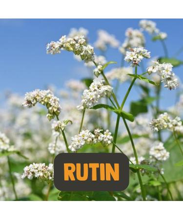 Organic Rutin Capsules - 60 Count 500 MG - Dietary Supplement & Superfood for Optimal Health - Buy Online on GoSupps.com