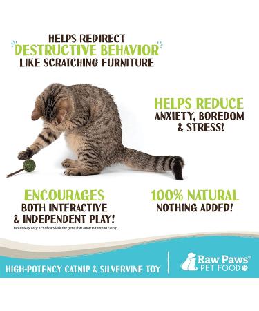 Raw Paws Catnip Lollipop (6-Pack) - Catnip Toys for Indoor Cats - Catnip Ball, Silvervine & Matatabi Stick for Cats - Buy Online on GoSupps.com