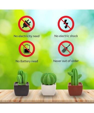 Buy Tri Cactus Non-Electric Ceramic Diffusers - Essential Oils & Aromatherapy Decor for Car Office & Home - Stylish Black Vase - Buy Online on GoSupps.com