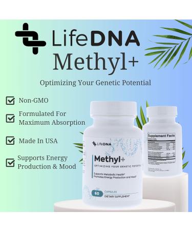 LIFEDNA Methyl + Methylfolate - Methylated Folate Vitamins Active 5-MTHF TMG Optimized Homocysteine Brain Cardiovascular Highly Bioavailable MTHFR Supplement - Buy Online on GoSupps.com
