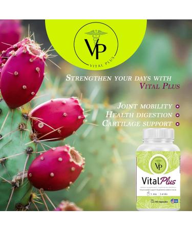Vital Plus - Organic Energy Supplement for Varicose Veins & Joint Support | 60 Capsules - International Shipping Available - Buy Online on GoSupps.com