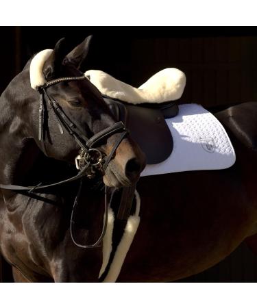 Shop Christ Lamb Fur Moon Belt by Werner - Anatomical Dressage Saddle Strap | Black-Nature 55 cm - Buy Online on GoSupps.com