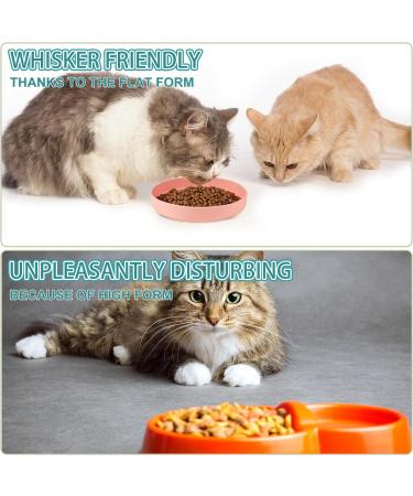 Fanshiontide 2 Pcs Cat Bowls Food Silicone Grade Feeding Bowl Water Bowl for Cat and Dog Dry Food and Wet Food Cat Drinking Bowl Pet Bowl Dishs for Pet Cat Dog Small Animal - Buy Online on GoSupps.com