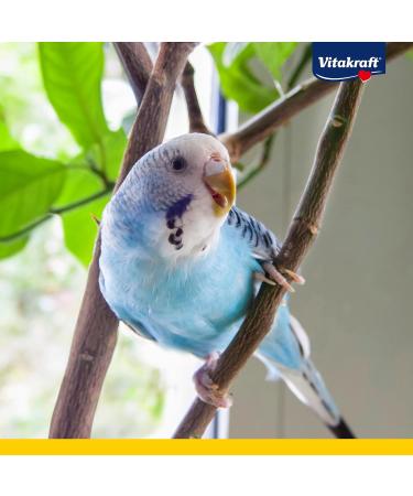 Vitastropic Sittich Pearl Bird Feed for Budgies - Herbal Enriched Sugar-Free 500g Eco-Friendly Bag - Buy Online on GoSupps.com