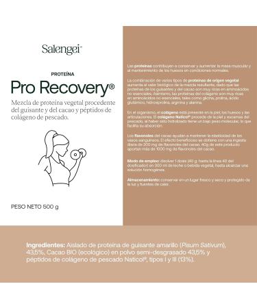 Salengei Active Foods Pea Protein with Collagen and Cocoa 500 g - Buy Online on GoSupps.com