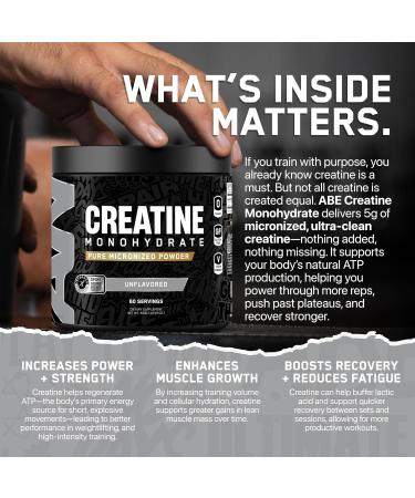 All Black Everything Creatine Monhydrate | 60 Servings | Blue Razz | Micronized Amino Acid Powder | Support Muscles | Cellular Energy | Cognitive Function | Gluten-Free and Keto Friendly - Buy Online on GoSupps.com