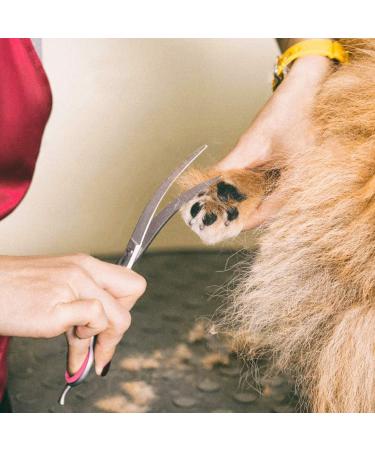 Buy Gimars 7.0 Stainless Steel Safety Scissors - 6-in-1 Professional Pet Care Scissors for Dogs & Cats - Durable Titanium-Coated with Round Tip - Buy Online on GoSupps.com