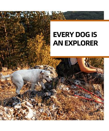 Reflective Waterproof Dog Shoes for Hot Pavement - Outdoor Booties for Medium & Large Dogs (Size 4, Black) - 4PCS - Buy Online on GoSupps.com