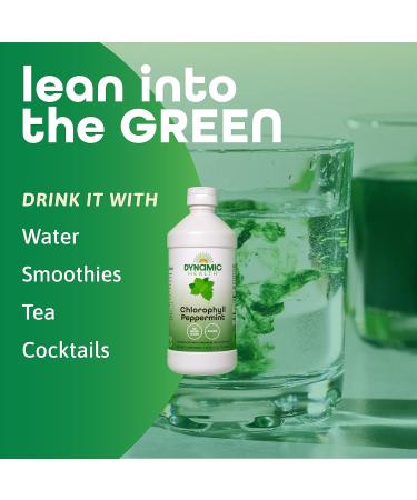 Dynamic Health Liquid Chlorophyll Peppermint 100 mg Sodium Copper Chlorophyllins with Alfalfa and Mulberry Leaves Plant Cleanse and Deodorizing No Added Sugar 16 Fl Oz - Buy Online on GoSupps.com
