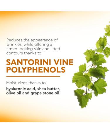 APIVITA Wine Elixir Wrinkle Lift Eye & Lip Cream 0.54 oz | Anti-Aging Treatment for Wrinkles and Dark Circles - Buy Online on GoSupps.com