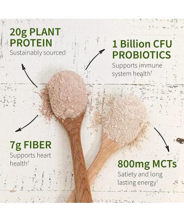 Buy Garden of Life MD Plant-Based Protein Powder - Rich Chocolate 31.11 oz | Sustainable Nutrition - Buy Online on GoSupps.com