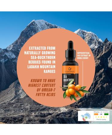 CARAWAY Sea Buckthorn Oil - Whole Berry 1 Fl Oz | Omega-7 Rich Super Critical Extract | Himalayan Sea Buckthorn Berry Oil - Buy Online on GoSupps.com